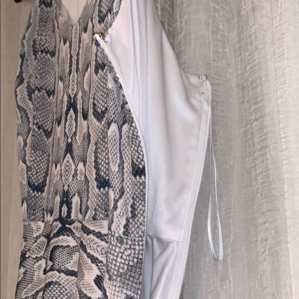 Express Printed Dress - Picture 3 of 6